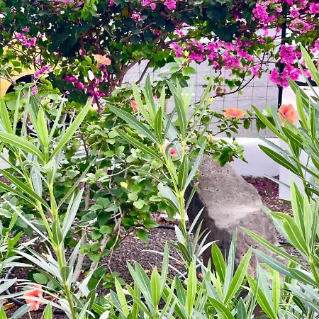 Appartamento Sunset En Cristianos Arona (Tenerife)