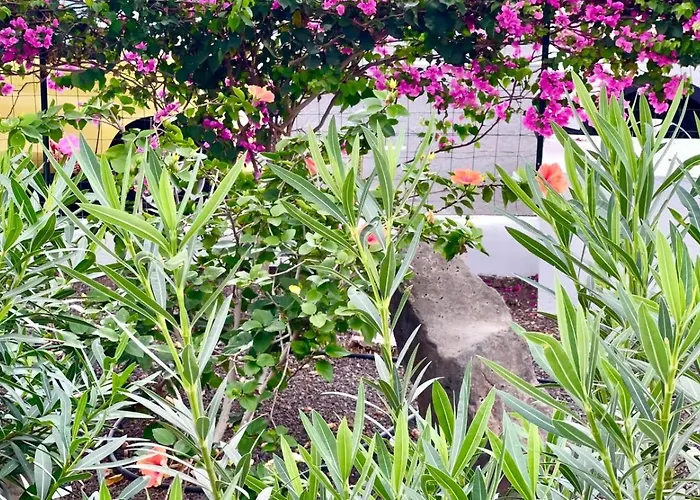 Apartmán Sunset En Cristianos Arona (Tenerife)